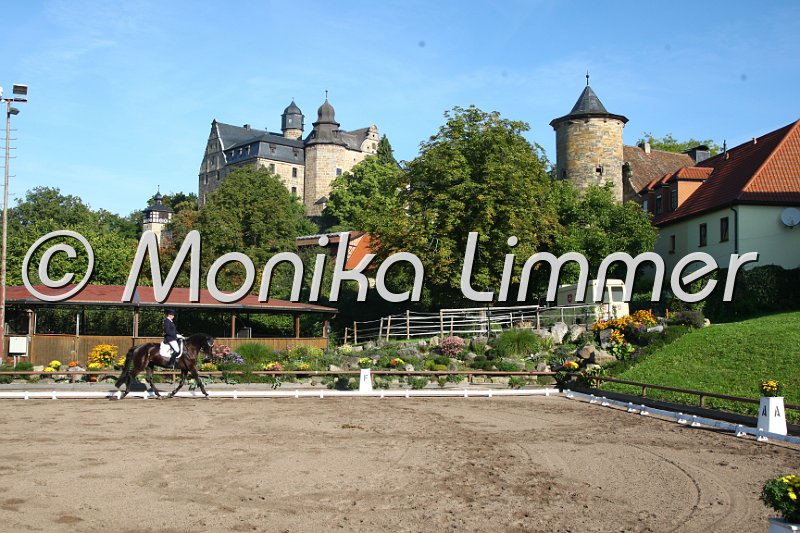 009M1558__Dressur M.JPG